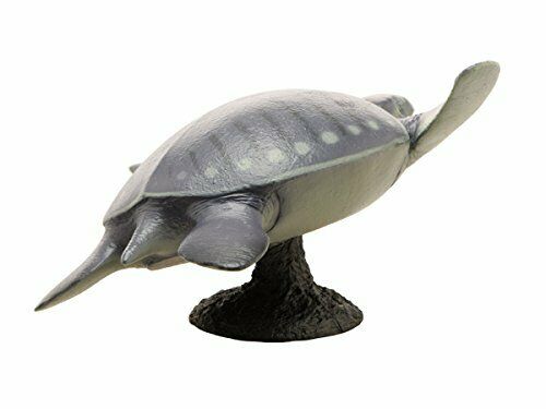 Febaritto 77619 Archelon Software Model Fp-005- Japan Figure Store - #1 Bring To You The Best Japanese Goods