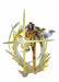 Figuarts Zero Extra Battle 'the Three Admirals' Borsalino -kizaru- Figure- Japan Figure Store - #1 Bring To You The Best Japanese Goods