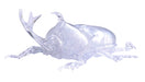 Fujimi Model Free Study Series No.21 Ex-1 Living Things Beetle (Clear) Free Study-21 Ex-1- Japan Figure Store - #1 Bring To You The Best Japanese Goods