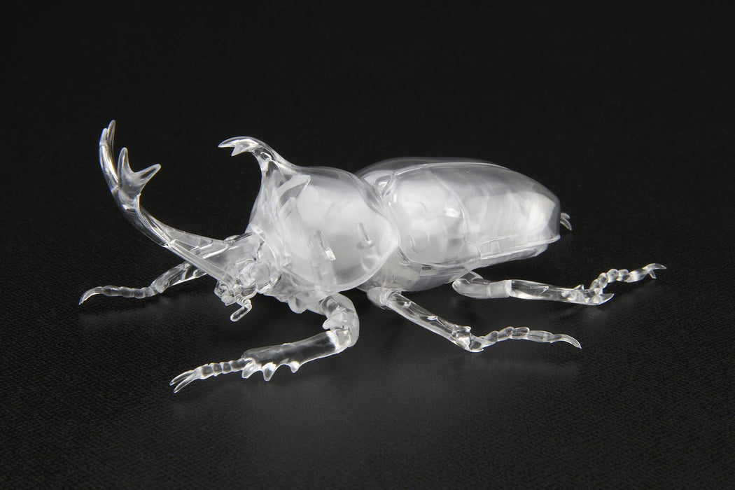 Fujimi Model Free Study Series No.21 Ex-1 Living Things Beetle (Clear) Free Study-21 Ex-1- Japan Figure Store - #1 Bring To You The Best Japanese Goods