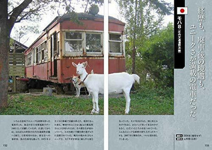 Ghost Train -japan And The World's Scrap Train Book- Book- Japan Figure Store - #1 Bring To You The Best Japanese Goods