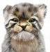 Hansa Stuffed Animal Real No.7299 Pallas Cat Pups 17 Bh7299- Japan Figure Store - #1 Bring To You The Best Japanese Goods