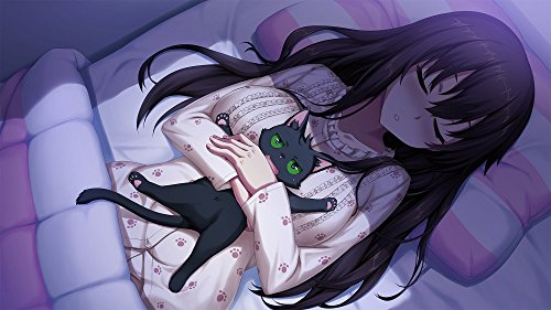 Harukaze Nora Princess And Stray Cat Ps Vita Sony Playstation New