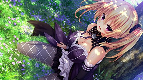 Harukaze Nora To Oujo To Noraneko Heart Nintendo Switch - New Japan Figure 4580240060850 2