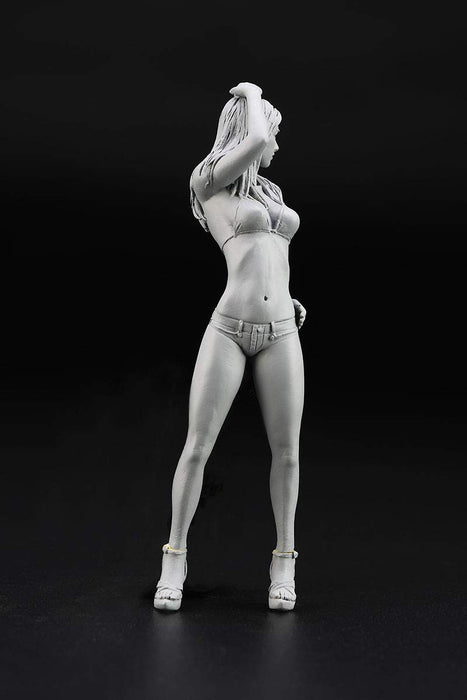 HASEGAWA Sp441 1966 American Coupe Type T W/Blonde Girls Figure 1/24 Scale Kit- Japan Figure Store - #1 Bring To You The Best Japanese Goods