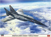 Hasegawa Mig-25 Rbt Foxbat 'world Foxbat' Plastic Model - Japan Figure
