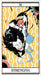 Hesomoge Production Blue Bird Tarot Beautiful Illustrations- Japan Figure Store - #1 Bring To You The Best Japanese Goods