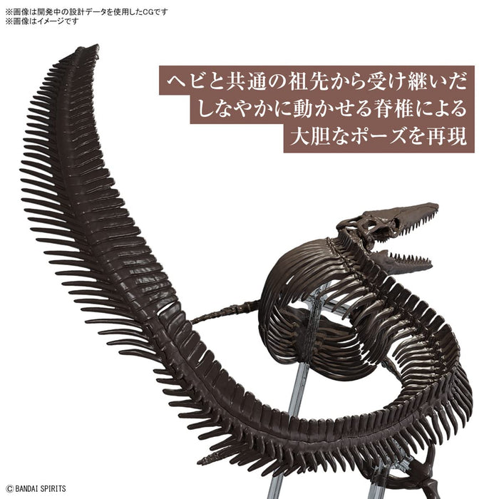 Bandai Spirits Japan 1/32 Mosasaurus Skeleton Plastic Model - Color Coded- Japan Figure Store - #1 Bring To You The Best Japanese Goods