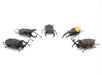 F-TOYS - Incects Hunter Rhinoceros Beetle X Stag Beetle 10Pcs Box - Candy Toy- Japan Figure Store - #1 Bring To You The Best Japanese Goods