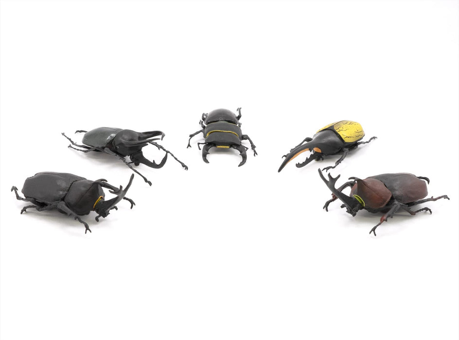 F-TOYS - Incects Hunter Rhinoceros Beetle X Stag Beetle 10Pcs Box - Candy Toy- Japan Figure Store - #1 Bring To You The Best Japanese Goods