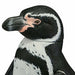 Kaiyodo Soft Vinyl Toy Box 011 Humboldt Penguin Figure- Japan Figure Store - #1 Bring To You The Best Japanese Goods