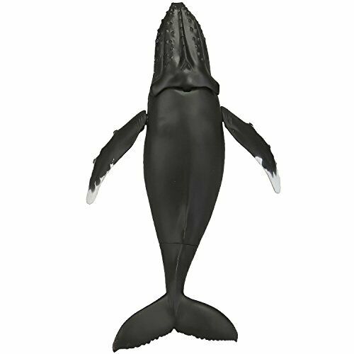 Kaiyodo Soft Vinyl Toy Box 013 Megaptera Novaeangliae Figure- Japan Figure Store - #1 Bring To You The Best Japanese Goods