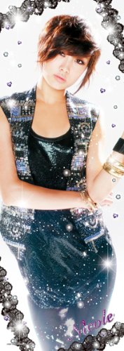 Kara Jung Nicole 352-30 - 352 Pieces by Ensky- Japan Figure Store - #1 Bring To You The Best Japanese Goods