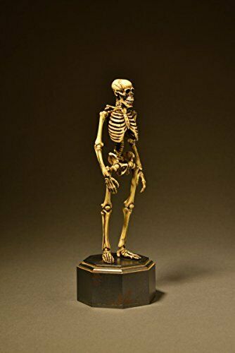 Kt Project Kt-006 Takeya Freely Figure Skeleton Color Edition- Japan Figure Store - #1 Bring To You The Best Japanese Goods