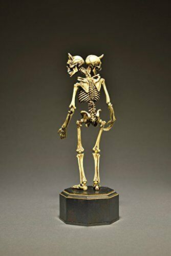 Kt Project Kt-006 Takeya Freely Figure Skeleton Color Edition- Japan Figure Store - #1 Bring To You The Best Japanese Goods