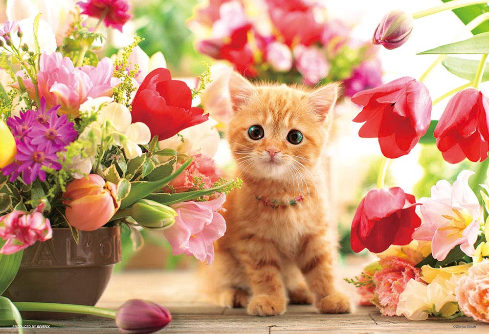 Beverly P33-190 Jigsaw Puzzle Tulips And A Kitten (300 Pieces) Cats Jigsaw Puzzle- Japan Figure Store - #1 Bring To You The Best Japanese Goods