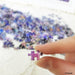 BEVERLY M81-616 Jigsaw Puzzle The Twelve Zodiac Signs 1000 S-Pieces- Japan Figure Store - #1 Bring To You The Best Japanese Goods