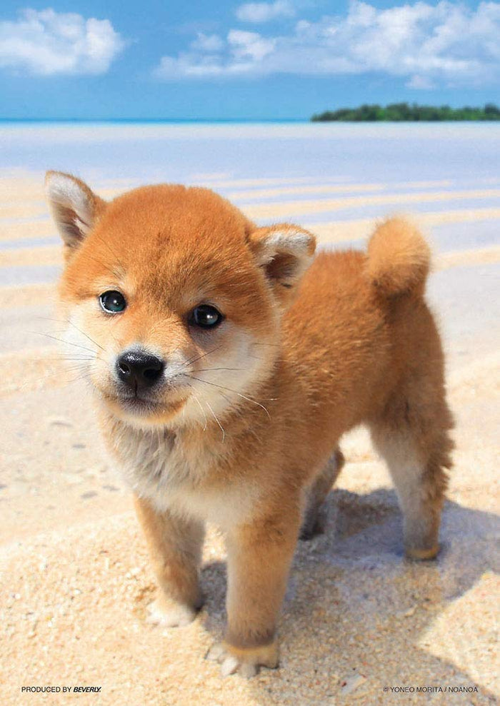 BEVERLY Jigsaw Puzzle P108-840 Shiba Puppy And The Sea 108 Pieces- Japan Figure Store - #1 Bring To You The Best Japanese Goods