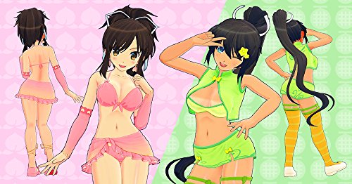 Marvelous Senran Kagura Burst Re:Newal Sony Ps4 Playstation 4 Used