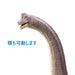Mattel Jurassic World: Brachiosaurus, Movable Neck And Tail Japanese Action Figure- Japan Figure Store - #1 Bring To You The Best Japanese Goods