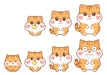 Sega Toys Mocchiri Pet Mocchimaruzu Punit Nyanko Chocolat Japanese Cute Toys- Japan Figure Store - #1 Bring To You The Best Japanese Goods