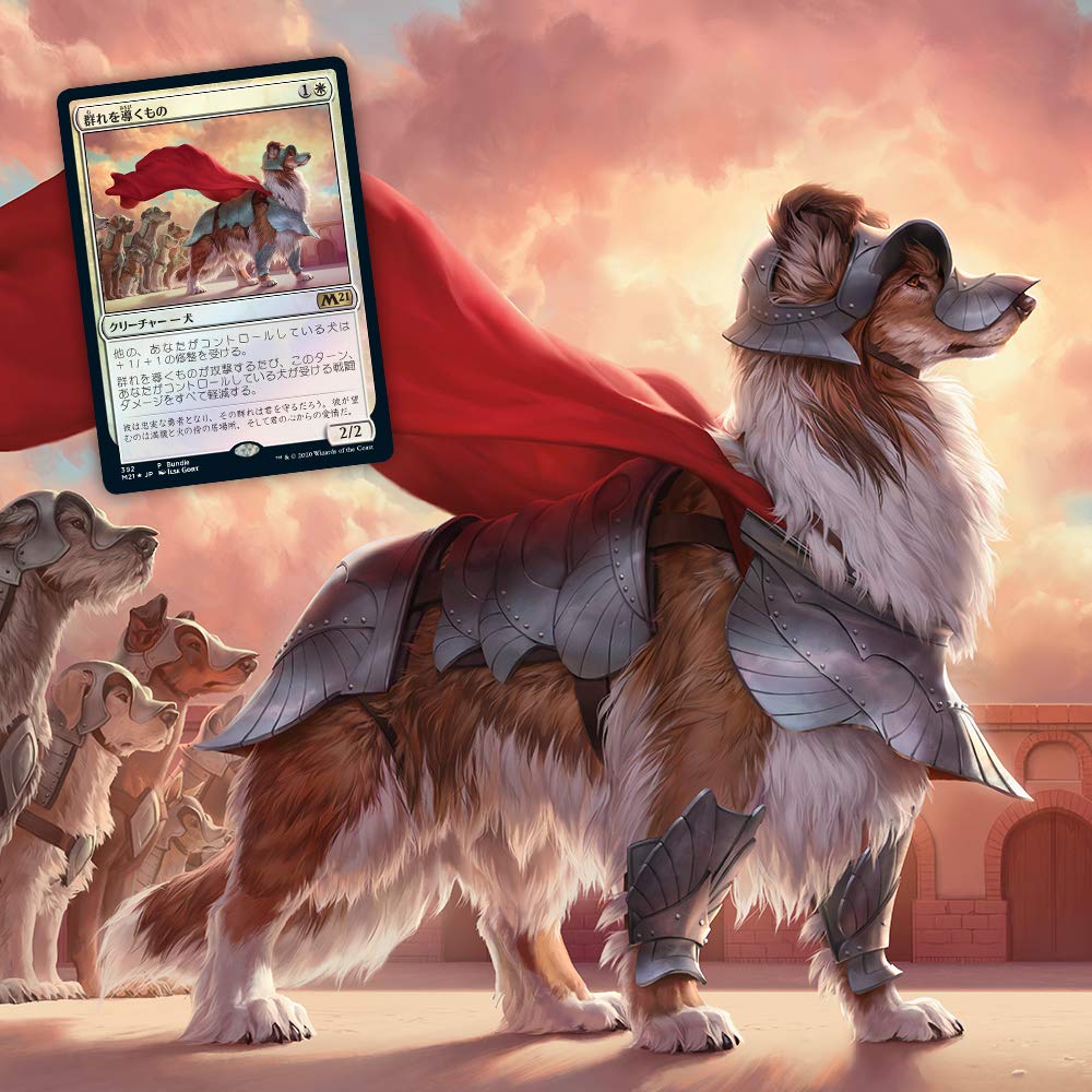 Magic The Gathering Basic Set 2021 M21 Bundle Set Japanese Version Magic Card Toys- Japan Figure Store - #1 Bring To You The Best Japanese Goods