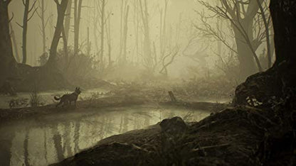 Na Publishing Blair Witch Playstation 4 Ps4 - New Japan Figure 4988635001073 5