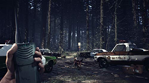 Na Publishing Blair Witch Playstation 4 Ps4 - New Japan Figure 4988635001073 6