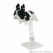 Nanoblock French Bulldog Pied Nbc-197- Japan Figure Store - #1 Bring To You The Best Japanese Goods