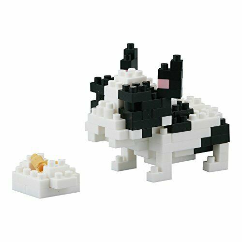 Nanoblock French Bulldog Pied Nbc-050- Japan Figure Store - #1 Bring To You The Best Japanese Goods