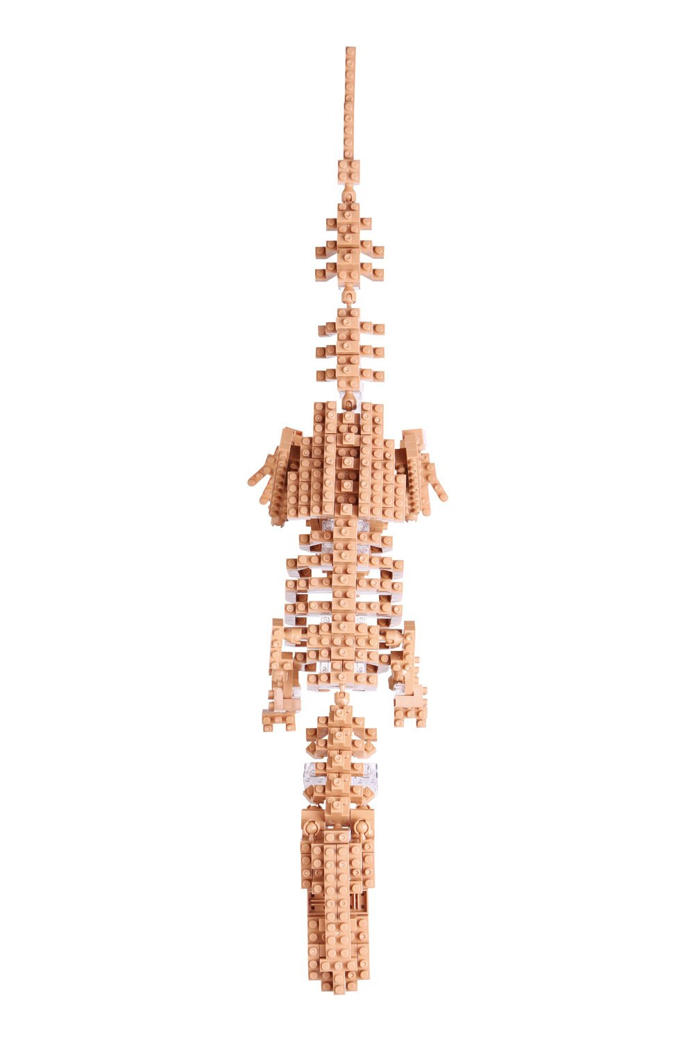 KAWADA Nbm-012 Nanoblock T-Rex Skeleton Model- Japan Figure Store - #1 Bring To You The Best Japanese Goods