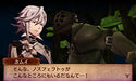 Nintendo Fire Emblem If Anya Oukoku 3Ds Used