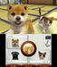 Nintendo Nintendogs + Cats: French Bulldog & New Friends 3Ds Used