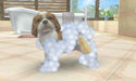 Nintendo Nintendogs Cats Toy Poodle And New Friends 3Ds Used