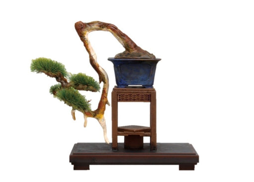 Platts 1/12 The Bonsai See Plastic Model Bon-03- Japan Figure Store - #1 Bring To You The Best Japanese Goods