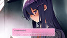 Playism Doki Doki Literature Club Plus For Nintendo Switch - New Japan Figure 4589794580203 5