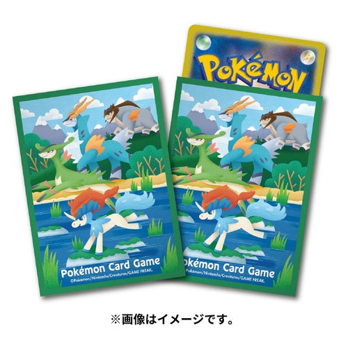 Pokemon Card Game Deck Shield Keldeo- Japan Figure Store - #1 Bring To You The Best Japanese Goods