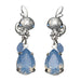 POKEMON CENTER ORIGINAL Pokemon Accessory Earrings 77 Sobble- Japan Figure Store - #1 Bring To You The Best Japanese Goods