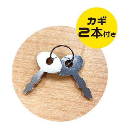 POKEMON CENTER ORIGINAL - Mascot Padlock Keychain Piplup- Japan Figure Store - #1 Bring To You The Best Japanese Goods