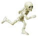Re-Ment Pose Skeleton Human 2 Child Japan- Japan Figure Store - #1 Bring To You The Best Japanese Goods