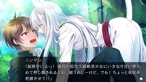 Prototype Gunka O Haita Neko Nintendo Switch - New Japan Figure 4580206270941 6