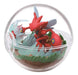 RE-MENT Pokemon Terrarium Collection 8 6 Pcs Box- Japan Figure Store - #1 Bring To You The Best Japanese Goods