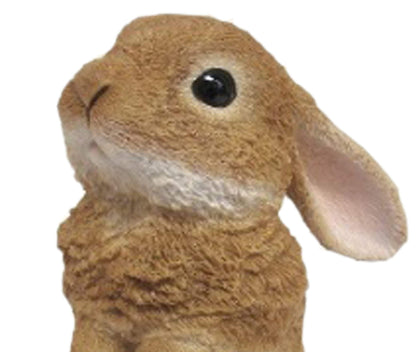 Resin Rabbit 72797- Japan Figure Store - #1 Bring To You The Best Japanese Goods