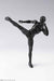 S.h.figuarts Body-kun Dx Set 2 Solid Black Color Ver. Figure- Japan Figure Store - #1 Bring To You The Best Japanese Goods