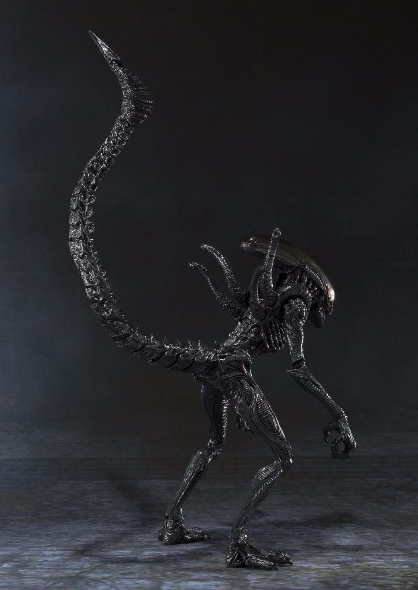 S.h.monsterarts Alien Warrior Action Figure Bandai Tamashii Nations- Japan Figure Store - #1 Bring To You The Best Japanese Goods