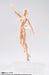 S.h.figuarts Body Chan Female Dx Set Pale Orange Color Ver Figure Bandai- Japan Figure Store - #1 Bring To You The Best Japanese Goods