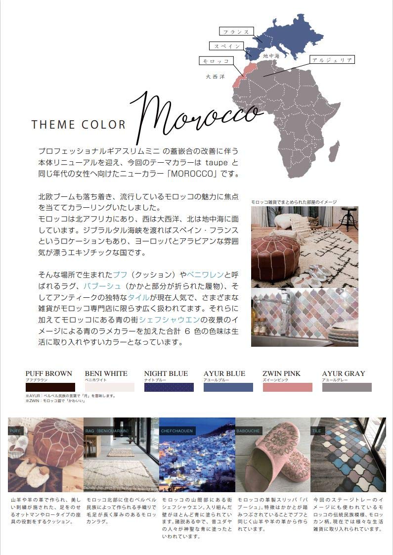 Sailor Fountain Pen Professional Gear Slim Mini Gold Japan Medium Fine Beni White 11-1503-310- Japan Figure Store - #1 Bring To You The Best Japanese Goods