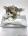 Sanei Boeki Gray Kitten Miya Crawling Plush W12xD18xH9cm- Japan Figure Store - #1 Bring To You The Best Japanese Goods