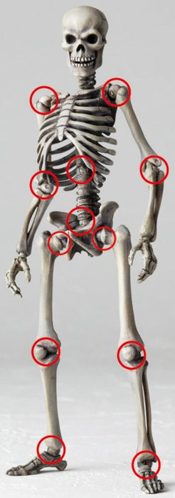KAIYODO Sci-Fi Revoltech 020 Skeleton Army Version2 Figure- Japan Figure Store - #1 Bring To You The Best Japanese Goods