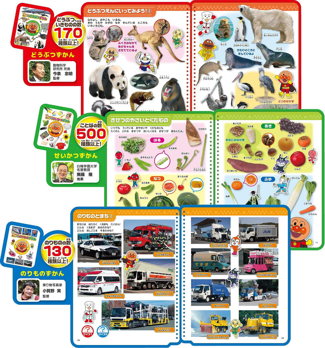 Sega Toys Anpanman Kotoba Zukan Premium & Knowledge Zukan Set- Japan Figure Store - #1 Bring To You The Best Japanese Goods